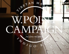 Wpoint CAMPAIGN