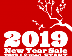 NEW YEAR SALE 2019
